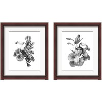 Framed Toucan Toile 2 Piece Framed Art Print Set