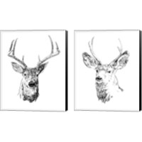 Framed 'Young Buck Sketch 2 Piece Canvas Print Set' border=