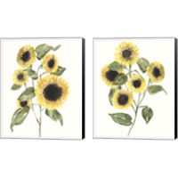 Framed 'Sunflower Composition 2 Piece Canvas Print Set' border=