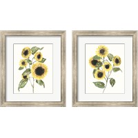 Framed Sunflower Composition 2 Piece Framed Art Print Set