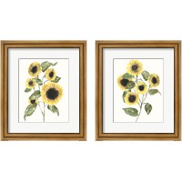 Framed 'Sunflower Composition 2 Piece Framed Art Print Set' border=