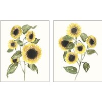Framed 'Sunflower Composition 2 Piece Art Print Set' border=