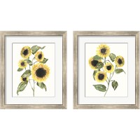 Framed 'Sunflower Composition 2 Piece Framed Art Print Set' border=