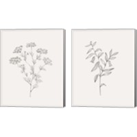 Framed 'Wild Foliage Sketch 2 Piece Canvas Print Set' border=