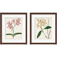 Framed Orchid Pair 2 Piece Framed Art Print Set