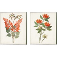 Framed 'Botanical of the Tropics 2 Piece Canvas Print Set' border=