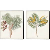 Framed Botanical of the Tropics 2 Piece Canvas Print Set