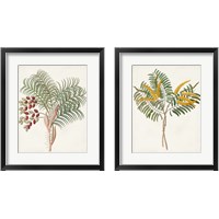 Framed 'Botanical of the Tropics 2 Piece Framed Art Print Set' border=