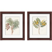 Framed 'Botanical of the Tropics 2 Piece Framed Art Print Set' border=