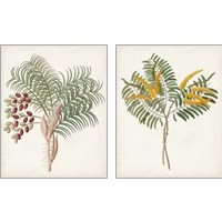 Framed 'Botanical of the Tropics 2 Piece Art Print Set' border=