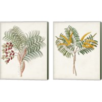 Framed 'Botanical of the Tropics 2 Piece Canvas Print Set' border=