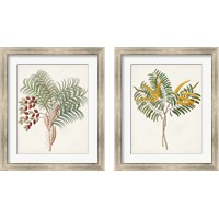 Framed Botanical of the Tropics 2 Piece Framed Art Print Set