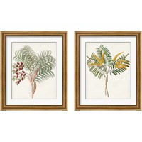 Framed Botanical of the Tropics 2 Piece Framed Art Print Set