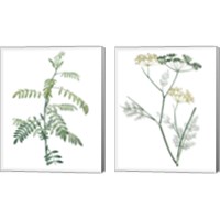 Framed 'Soft Green Botanical 2 Piece Canvas Print Set' border=