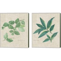 Framed 'Herbs on Burlap 2 Piece Canvas Print Set' border=