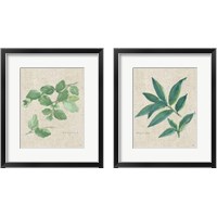 Framed Herbs on Burlap 2 Piece Framed Art Print Set