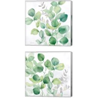 Framed 'Eucalyptus Leaves 2 Piece Canvas Print Set' border=