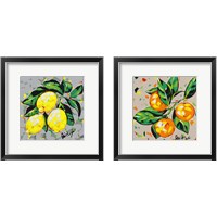 Framed Fruit Sketch 2 Piece Framed Art Print Set