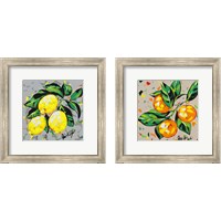Framed Fruit Sketch 2 Piece Framed Art Print Set