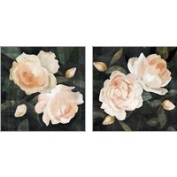 Framed 'Soft Garden Roses 2 Piece Art Print Set' border=