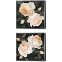 Framed 'Soft Garden Roses 2 Piece Canvas Print Set' border=