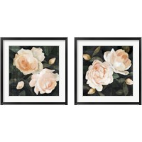 Framed 'Soft Garden Roses 2 Piece Framed Art Print Set' border=