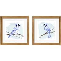 Framed Coastal Blue Jay 2 Piece Framed Art Print Set