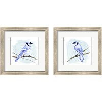 Framed Coastal Blue Jay 2 Piece Framed Art Print Set