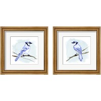Framed Coastal Blue Jay 2 Piece Framed Art Print Set
