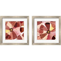 Framed 'Elementary Flora 2 Piece Framed Art Print Set' border=