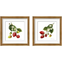 Framed 'Strawberry Study 2 Piece Framed Art Print Set' border=