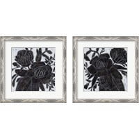Framed 'Chalkboard Garden 2 Piece Framed Art Print Set' border=