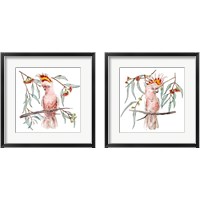 Framed Pink Cockatoo 2 Piece Framed Art Print Set