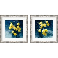 Framed Lemon Grove 2 Piece Framed Art Print Set