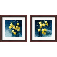 Framed Lemon Grove 2 Piece Framed Art Print Set