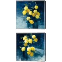 Framed 'Lemon Grove 2 Piece Canvas Print Set' border=