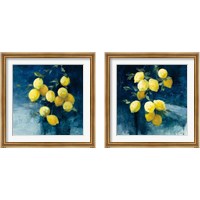 Framed 'Lemon Grove 2 Piece Framed Art Print Set' border=