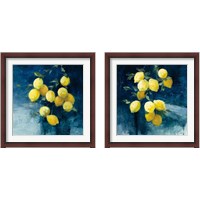 Framed Lemon Grove 2 Piece Framed Art Print Set