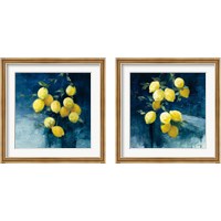 Framed 'Lemon Grove 2 Piece Framed Art Print Set' border=