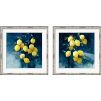 Framed 'Lemon Grove 2 Piece Framed Art Print Set' border=