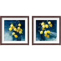 Framed Lemon Grove 2 Piece Framed Art Print Set