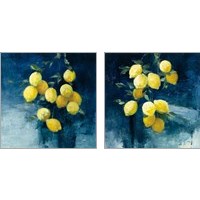 Framed Lemon Grove 2 Piece Art Print Set