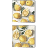 Framed 'Fresh Lemons 2 Piece Canvas Print Set' border=