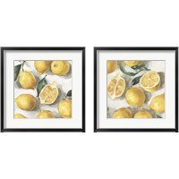 Framed Fresh Lemons 2 Piece Framed Art Print Set