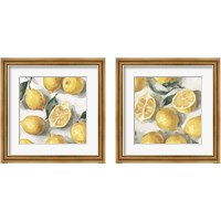 Framed Fresh Lemons 2 Piece Framed Art Print Set