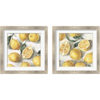 Framed 'Fresh Lemons 2 Piece Framed Art Print Set' border=