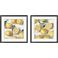 Framed 'Fresh Lemons 2 Piece Framed Art Print Set' border=
