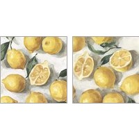 Framed 'Fresh Lemons 2 Piece Art Print Set' border=