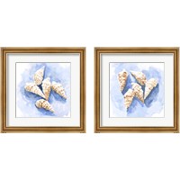 Framed Shell Impressions 2 Piece Framed Art Print Set