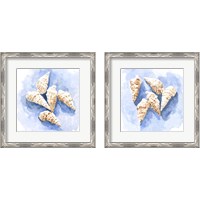Framed 'Shell Impressions 2 Piece Framed Art Print Set' border=